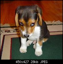 [Mod] JKay Deluxe (Lockscreen, Battery, Pwr Menu, CRT und ...) 13.6.1 (28.02.2012)-sorry.jpg