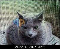 Der Pocket PC Review zum Galaxy Note N7000-p1050131.jpg