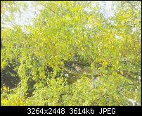 Der Pocket PC Review zum Galaxy Note N7000-20111029_145747.jpg