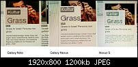 Displayvergleich Note vs. Galaxy Nexus vs. Nesus S-gesamt_browser.jpg