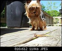 Kamera BQ verbessern-uploadfromtaptalk1338069133303.jpg