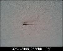 Kamera mit rosa Bereich in der Mitte-20120501_172413.jpg