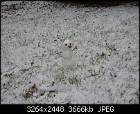 Kamera BQ verbessern-20120127_133121.jpg