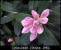 Kamera BQ verbessern-20120428_152302.jpg