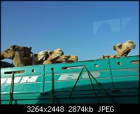 Kamera BQ verbessern-20120506_164915.jpg