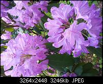 Kamera BQ verbessern-20120525_151334.jpg