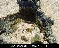 Kamera BQ verbessern-20120508_124112.jpg