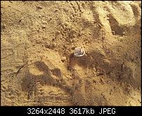 Kamera BQ verbessern-20120502_164607.jpg