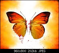 Sammelthread: Hintergrundbilder / Wallpaper für das Galaxy S-butterfly.jpg