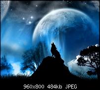 Sammelthread: Hintergrundbilder / Wallpaper für das Galaxy S-wonderland.jpg