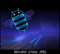 [Android Wallpaper] Samsung Galaxy S2 GT-I9100G-honey1.jpg