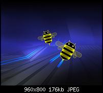 [Android Wallpaper] Samsung Galaxy S2 GT-I9100G-honey4.jpg