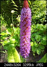 Kamera (Video- und Fotoqualität) von Galaxy S II-20120610_163427.jpg