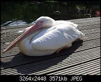 Kamera (Video- und Fotoqualität) von Galaxy S II-20120610_163807.jpg