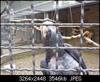 Kamera (Video- und Fotoqualität) von Galaxy S II-20120610_172438.jpg