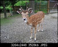 Kamera (Video- und Fotoqualität) von Galaxy S II-20120610_170335.jpg