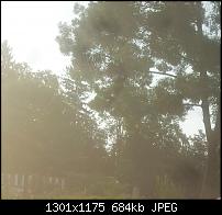 dunkle Stellen/Flecken auf Fotos - Garantie abgelehnt-20120727_194241.jpg