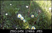 Kamera (Video- und Fotoqualität) von Galaxy S II-2011-05-05_17-45-51_329.jpg