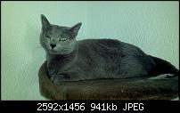 Kamera (Video- und Fotoqualität) von Galaxy S II-2011-05-05_17-42-11_548.jpg
