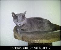 Kamera (Video- und Fotoqualität) von Galaxy S II-2011-05-05-17.41.16.jpg