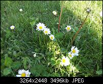 Kamera (Video- und Fotoqualität) von Galaxy S II-2011-05-05-17.45.41.jpg