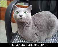 Kamera (Video- und Fotoqualität) von Galaxy S II-c360_2011-05-05-19-37-14.jpg