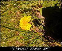 Kamera (Video- und Fotoqualität) von Galaxy S II-2011-05-06-12.34.12.jpg