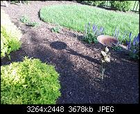 Kamera (Video- und Fotoqualität) von Galaxy S II-5691725086_f24fed2c15_o.jpg