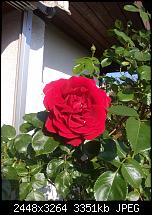 Kamera (Video- und Fotoqualität) von Galaxy S II-2011-05-06-18.24.58.jpg