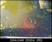 Kamera (Video- und Fotoqualität) von Galaxy S II-2011-05-06-18.19.45.jpg