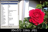 Kamera (Video- und Fotoqualität) von Galaxy S II-zwischenablage02.jpg