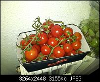 Kamera (Video- und Fotoqualität) von Galaxy S II-2000-01-01-09.24.06.jpg