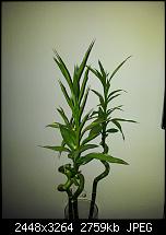 Kamera (Video- und Fotoqualität) von Galaxy S II-2000-01-01-09.26.14.jpg