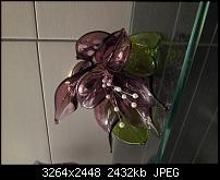 Kamera (Video- und Fotoqualität) von Galaxy S II-2011-05-19-21.27.50.jpg