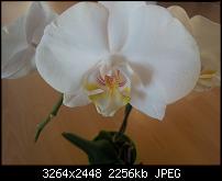 Kamera Probleme-2011-05-26-20.22.00.jpg