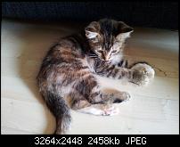 Kamera (Video- und Fotoqualität) von Galaxy S II-2011-05-28-12.58.36.jpg