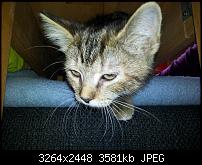 Kamera (Video- und Fotoqualität) von Galaxy S II-2011-05-28-12.39.24.jpg