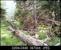 Kamera (Video- und Fotoqualität) von Galaxy S II-2011-05-21-18.05.27.jpg