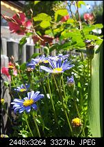 Kamera (Video- und Fotoqualität) von Galaxy S II-2011-06-02-11.29.27.jpg