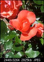 Kamera (Video- und Fotoqualität) von Galaxy S II-2011-06-02-11.28.42.jpg