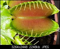 Kamera (Video- und Fotoqualität) von Galaxy S II-2011-06-02-15.44.11.jpg