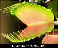 Kamera (Video- und Fotoqualität) von Galaxy S II-2011-06-02-15.44.39.jpg