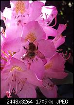 Kamera (Video- und Fotoqualität) von Galaxy S II-2011-06-03-11.58.48.jpg