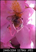 Kamera (Video- und Fotoqualität) von Galaxy S II-2011-06-03-11.59.50.jpg