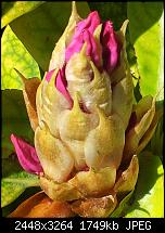 Kamera (Video- und Fotoqualität) von Galaxy S II-2011-06-03-12.03.48.jpg