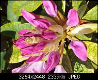 Kamera (Video- und Fotoqualität) von Galaxy S II-2011-06-03-12.10.22.jpg