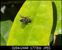 Kamera (Video- und Fotoqualität) von Galaxy S II-2011-06-03-12.08.42.jpg