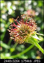 Kamera (Video- und Fotoqualität) von Galaxy S II-2011-06-03-13.03.55.jpg