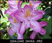 Kamera (Video- und Fotoqualität) von Galaxy S II-2011-06-03-11.48.41.jpg