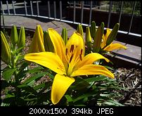 Kamera (Video- und Fotoqualität) von Galaxy S II-2011-06-04-12.09.37.jpg